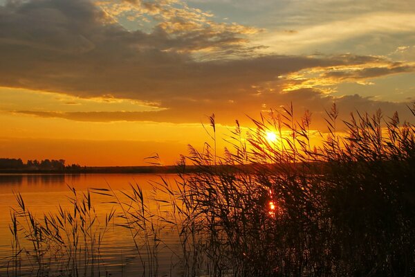 Beautiful sunset landscape on the river