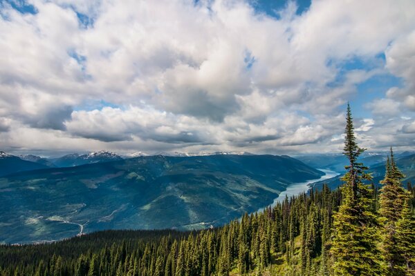 Ein faszinierendes Kieferntal durch die Wolken