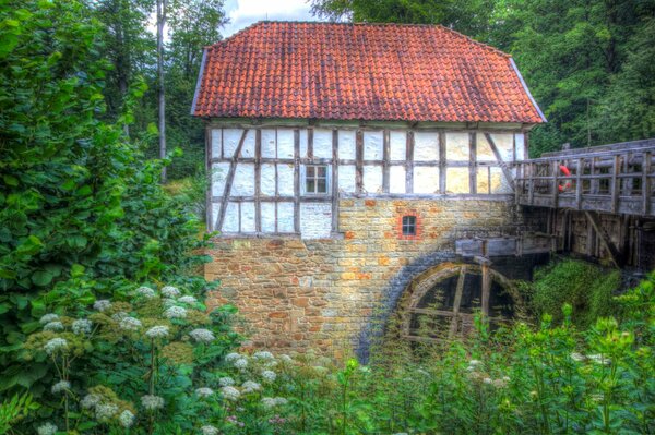 A house with a watermill in the forest