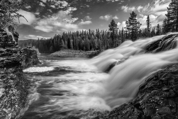 Monochrome landscape with waterfall and forest