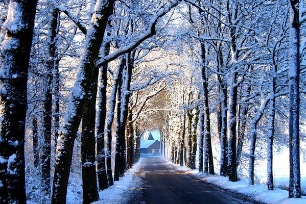 Winter road to a snow-covered house