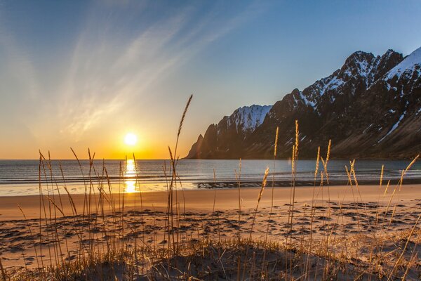 Ersfjordbotn Norvegia mare spiaggia