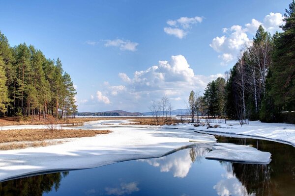 Ciel nuageux et nature hivernale