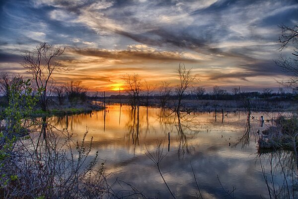 Bäume im Frühling bei Sonnenuntergang. Verschüttete Reflexion der Wolken