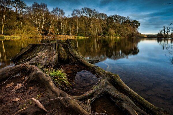 Lac paisible avec des arbres