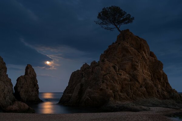 A lonely rock in the light of the moon