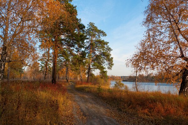 With the first autumn chill