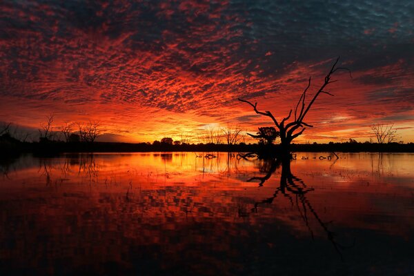 Hermosa puesta de sol en un lago misterioso