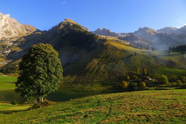 Hills in early autumn