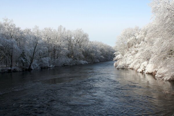 Snow-covered trees near the river