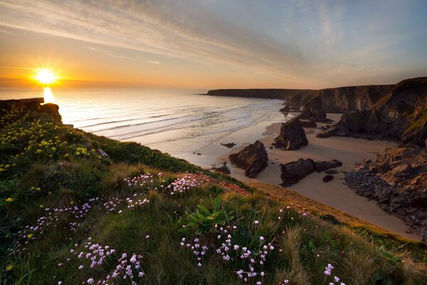 Puesta de sol mar paisaje hojas