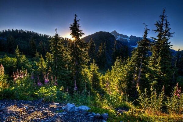 Paysage de montagne du lever du soleil