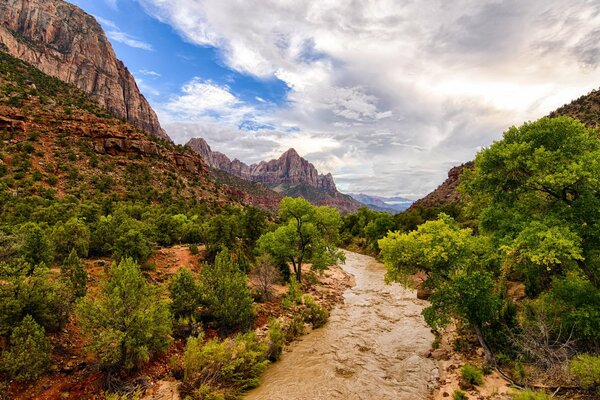 Río en las montañas en el parque nacional Zion