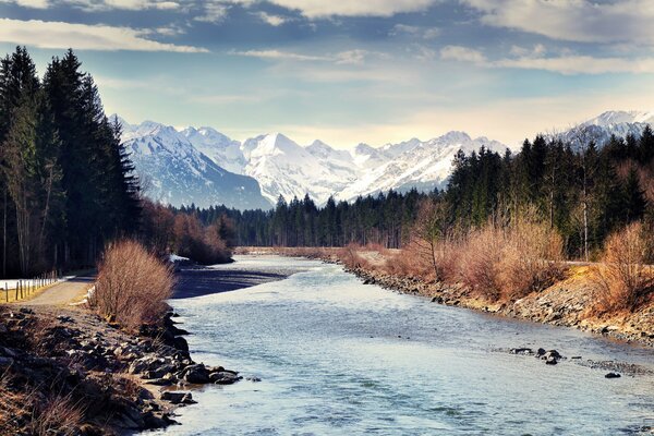 Forest river among the mountains