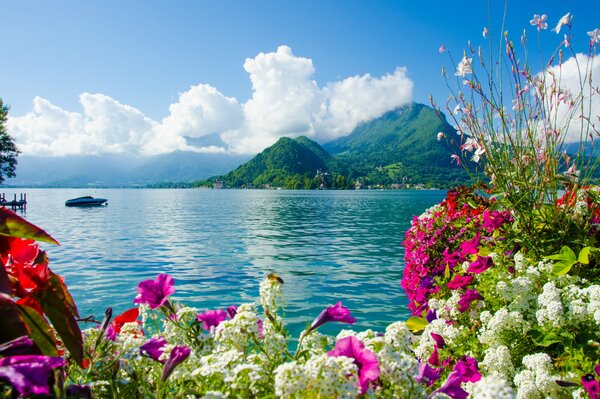 Seascape with flowers and mountains