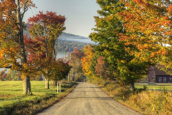 Nature in autumn. The road in the village