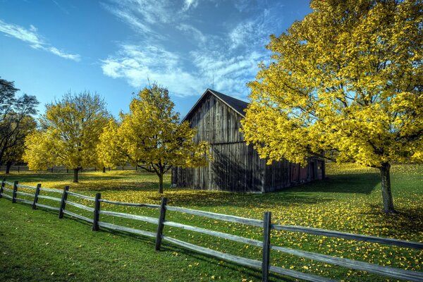 Landschaft mit Holzhaus, Bäumen und Zaun