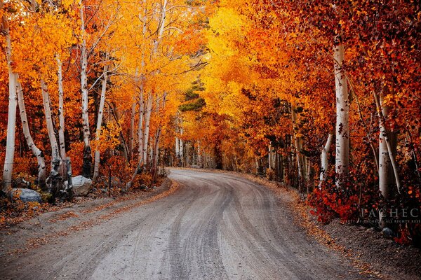 North Lake Autumn Road in Kalifornien