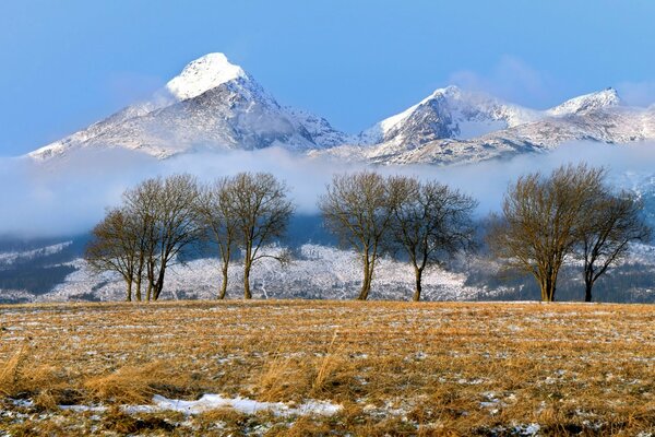 Mountain range in winter in Slovakia