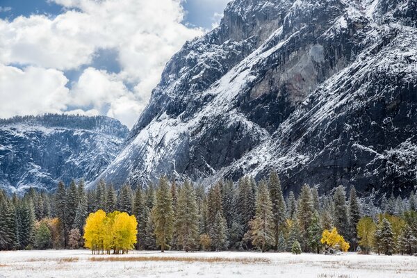 Paesaggio invernale neve sulle montagne e alberi