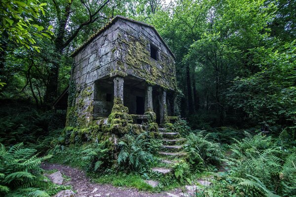 Casa antigua con columnas en el bosque verde