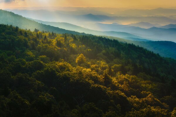 Natura. Jesienny las. Świt. Góra