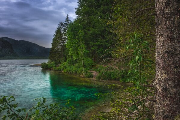 Sommerlandschaft mit Smaragdgrün