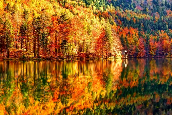 Herbstzeit in der Nähe von See und Hang