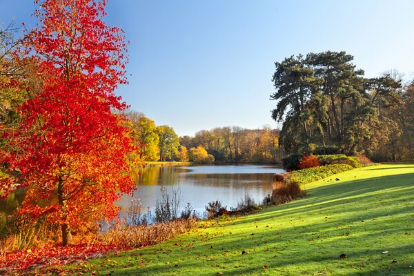 Sunny autumn day on the shore