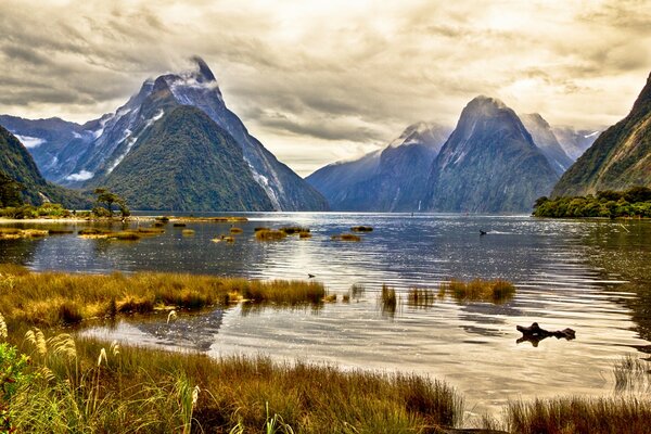Eine wunderschöne Landschaft in Neuseeland