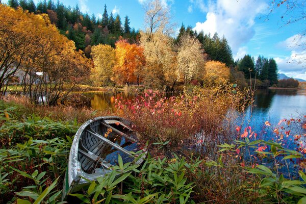 Paysage d automne au bord du lac