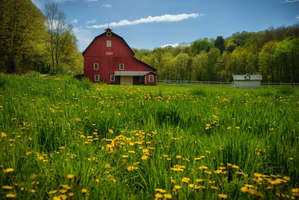 Maison en Pennsylvanie entourée d arbres