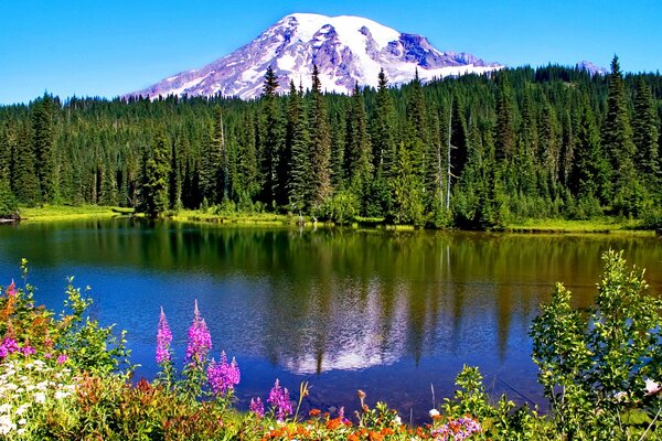 Parque nacional en Canadá con montañas, lagos y flores