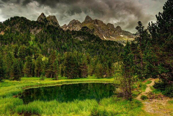 Cielo nuvoloso sopra il lago nella foresta