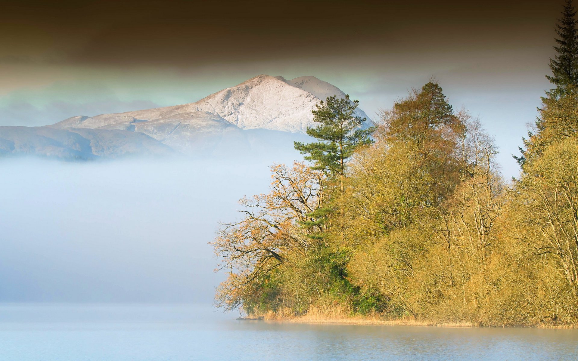 mountain forest lake fog