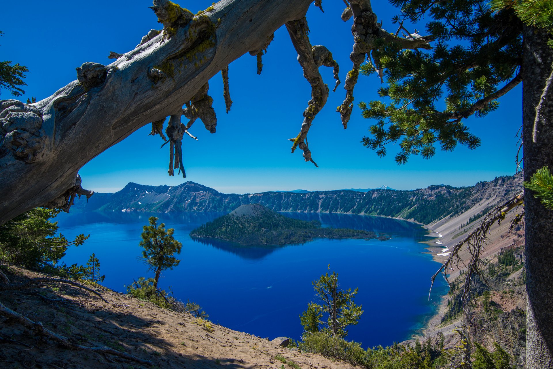 crater lake crater lake national park oregon crater lake wyspa drzewa