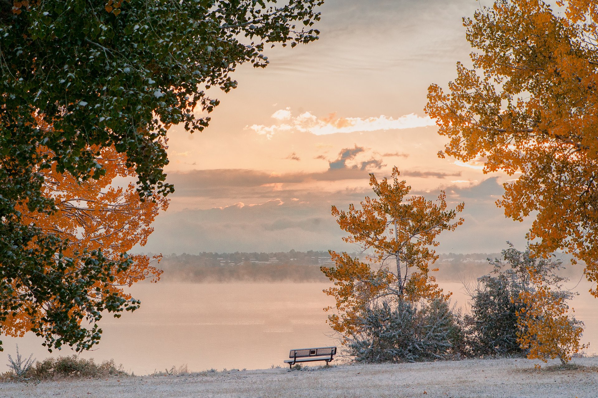 ky clouds tree autumn bench frost snow