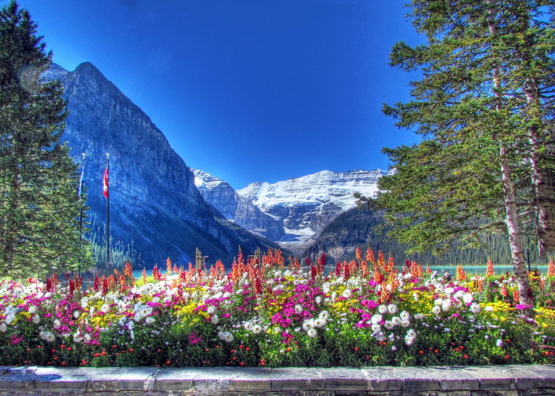 banff national park alberta canada mountain sky lake tree flower bed snow