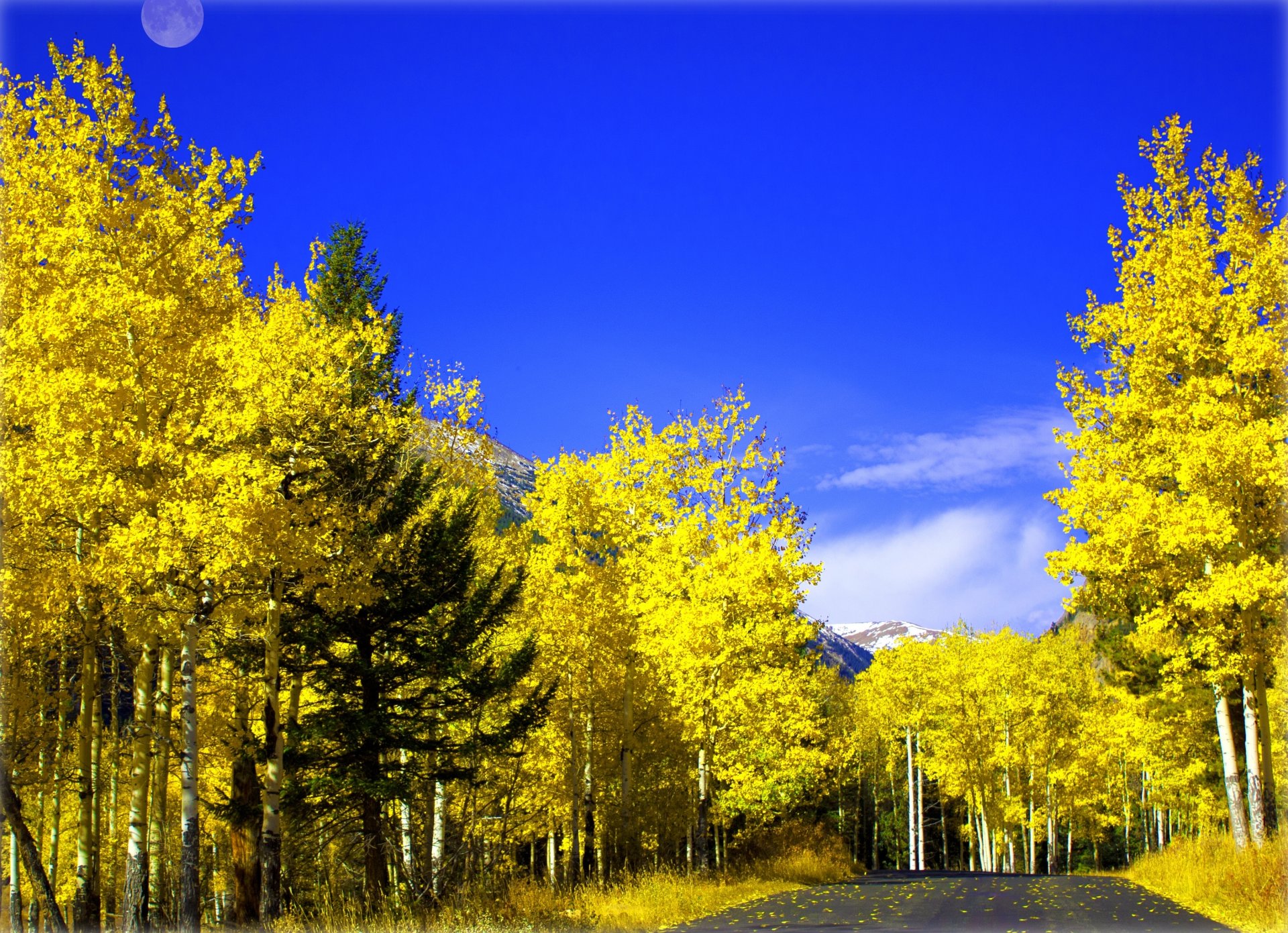 cielo luna camino bosque árboles otoño hojas montañas follaje naturaleza