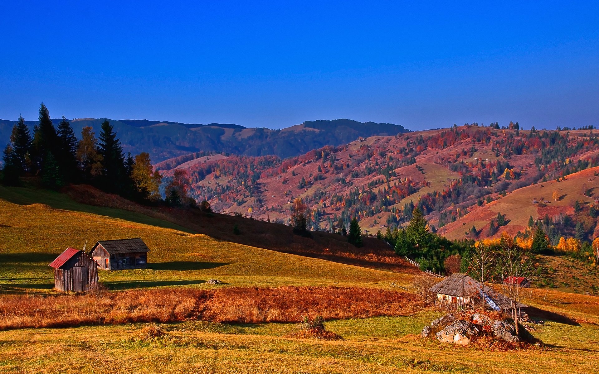 carpates ukraine ciel montagnes pente arbres hutte maison automne