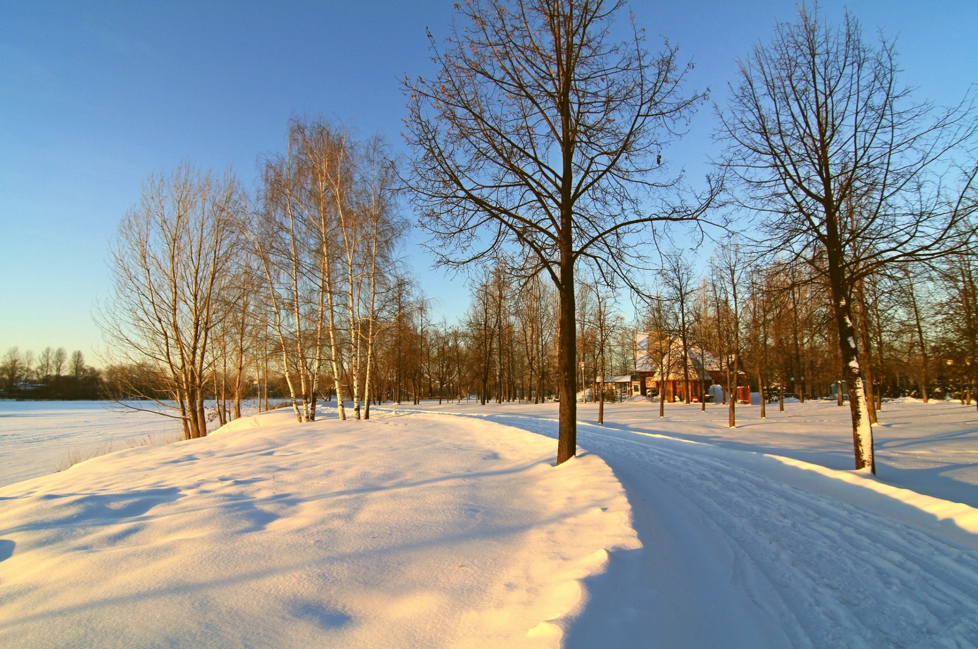 winter bäume hütte straße schnee morgen himmel