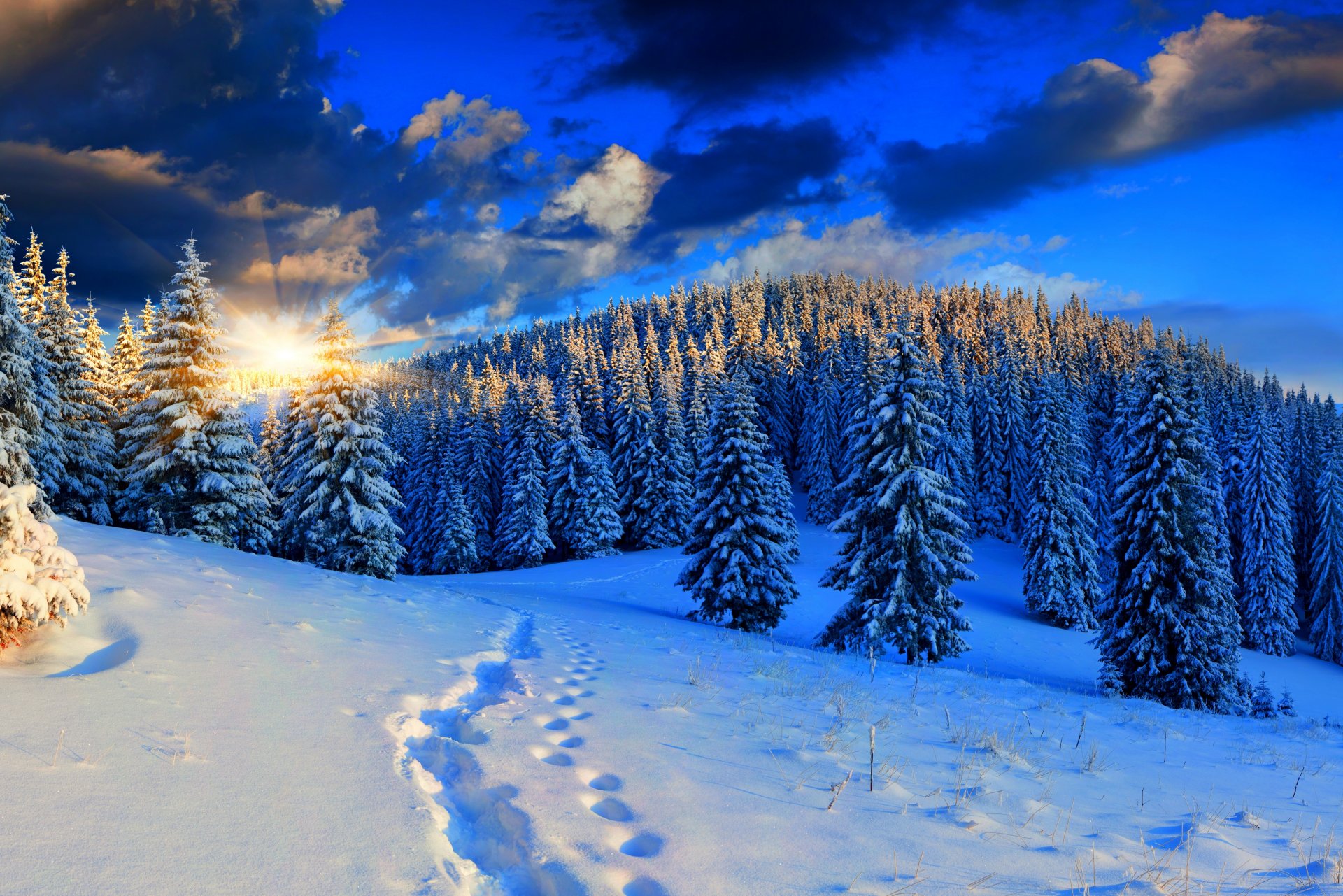 nature hiver neige ciel paysage hiver blanc forêt route sensa nice coucher de soleil