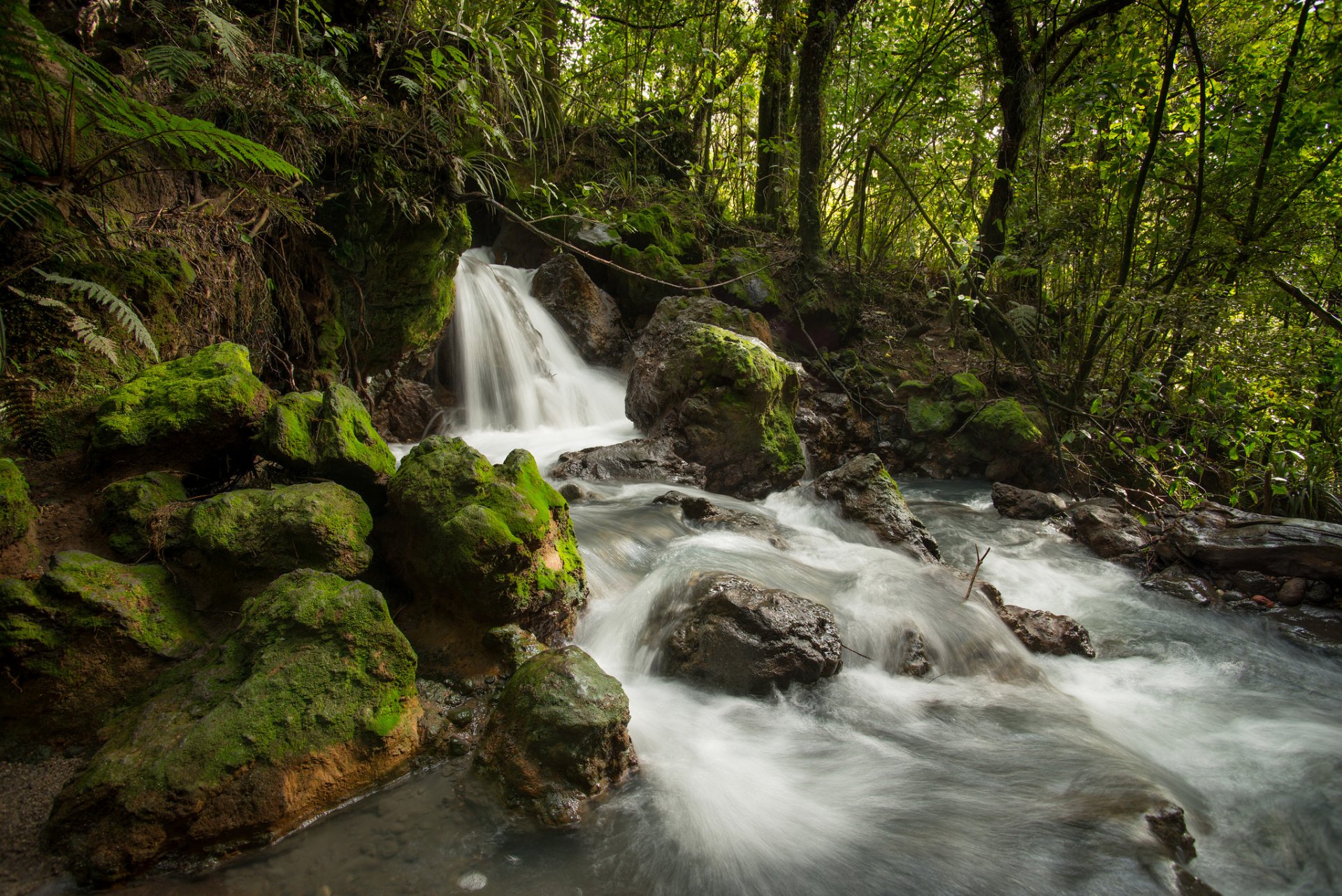 ketetahi stream tongariro national park neuseeland stream wasserfall wald steine bach fluss