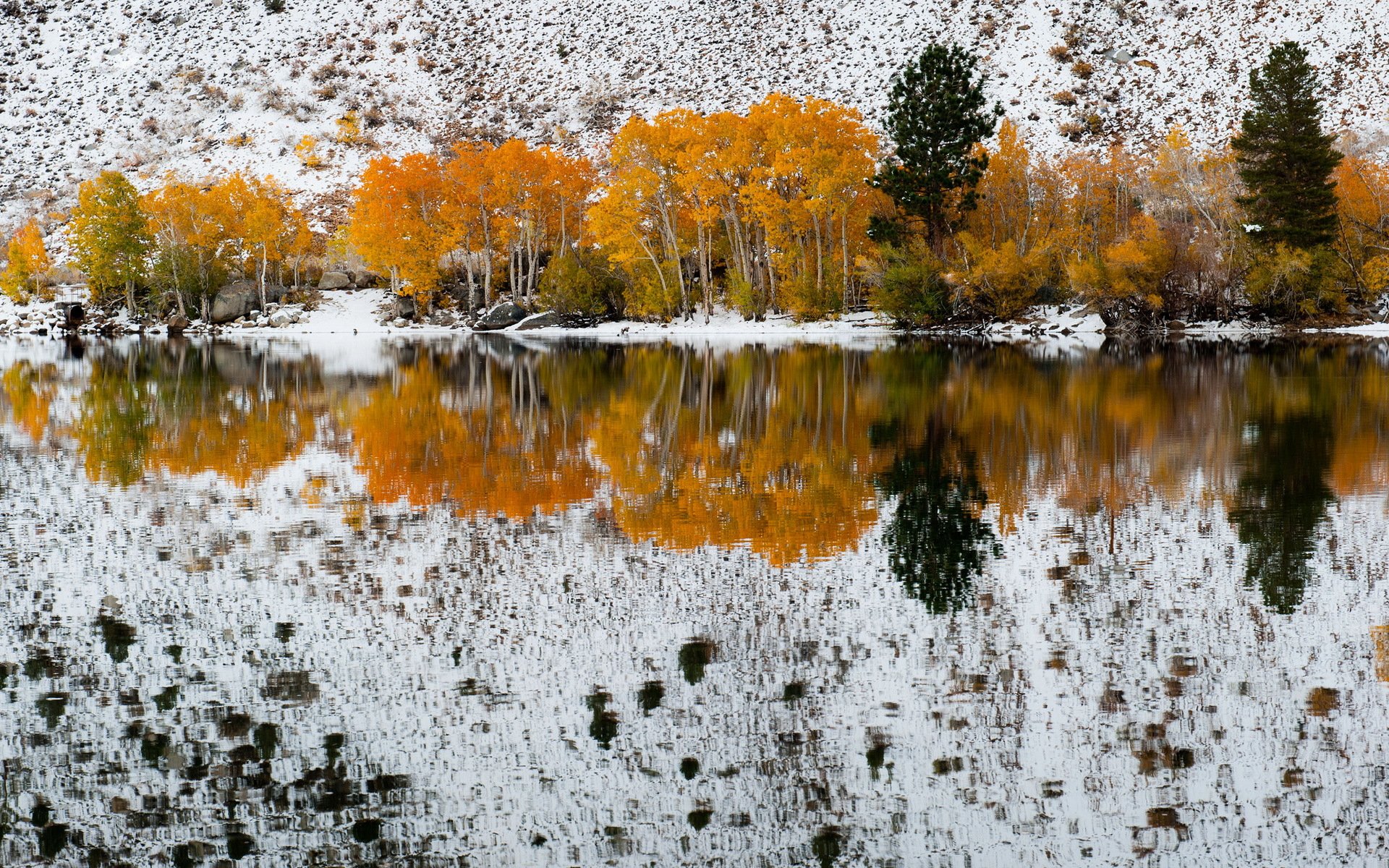 jesień śniegu bishop creek kalifornia refection