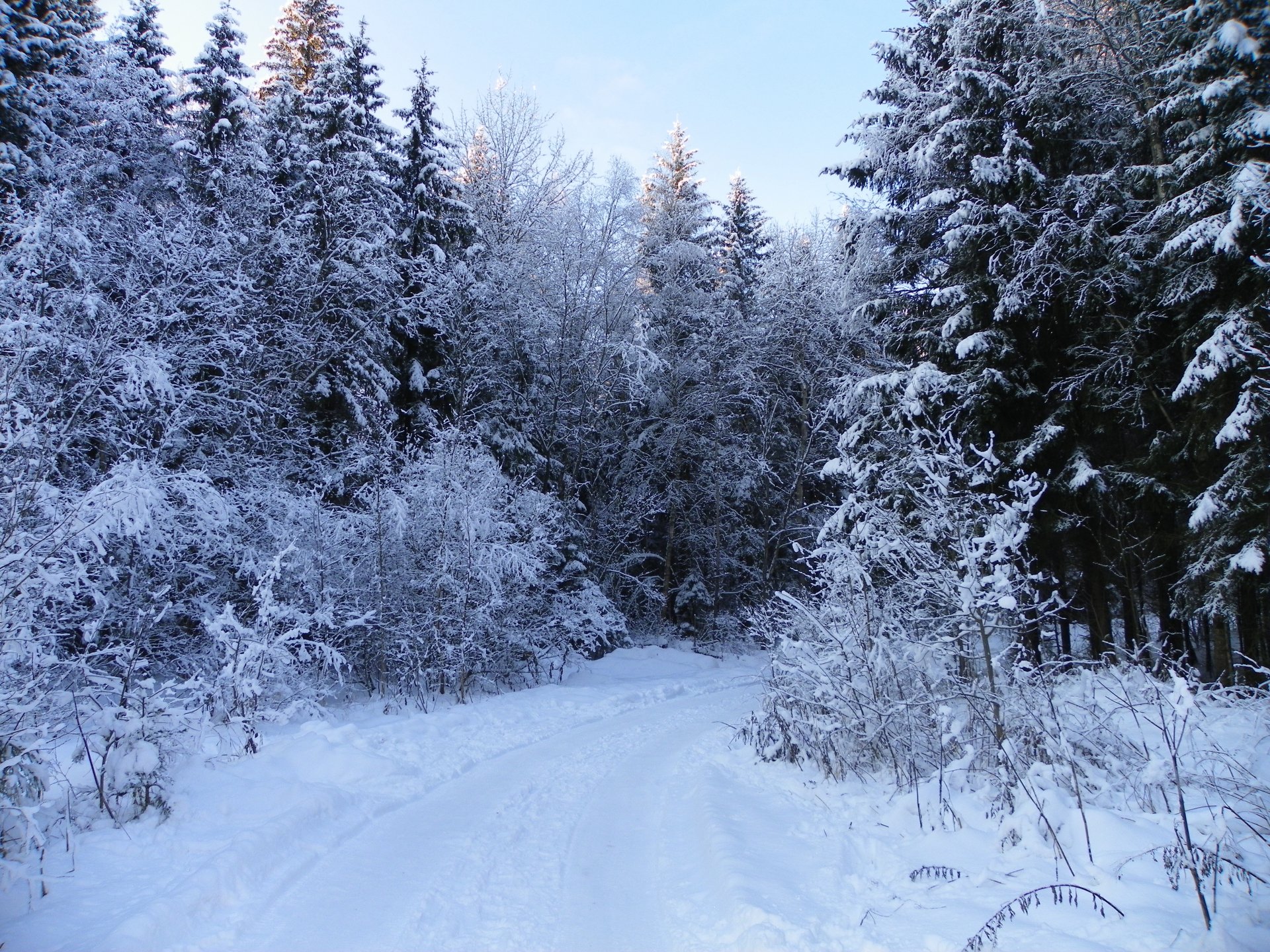 inverno strada svolta