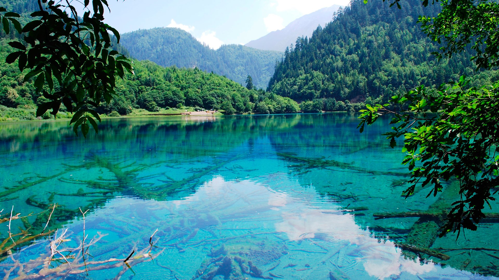 montagnes lac forêt nature