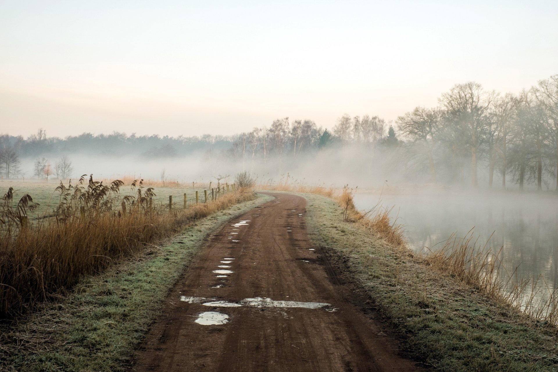 morning road river fog nature landscape