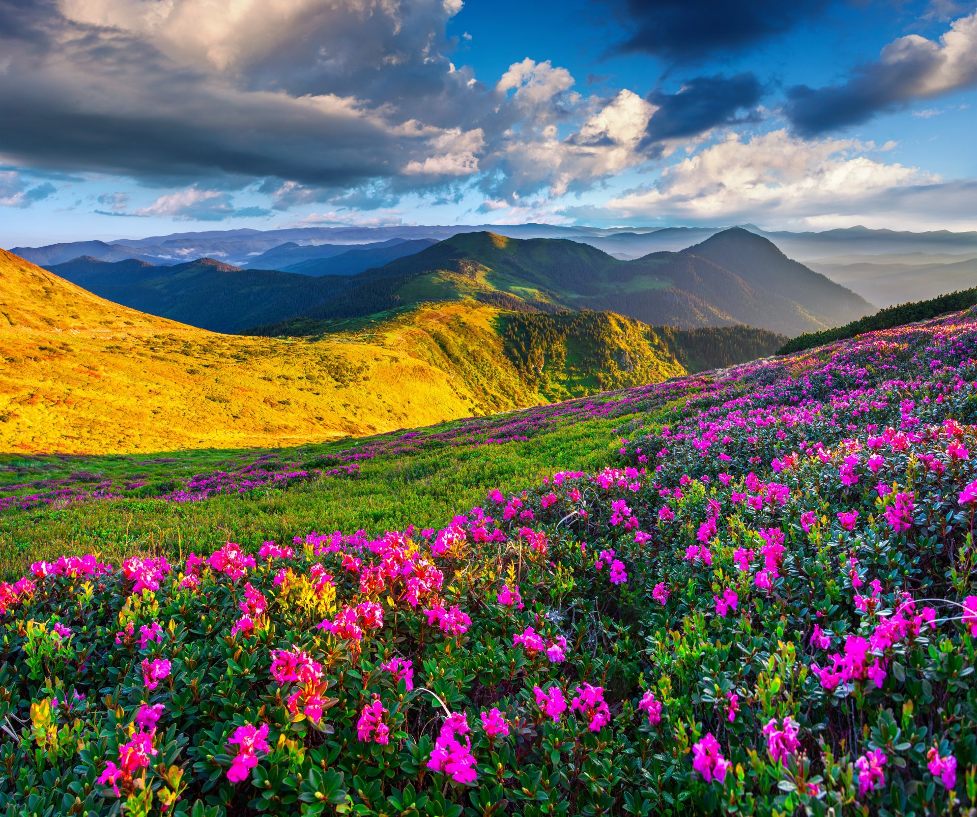 nature paysage montagnes printemps prairies fleurs ciel soleil