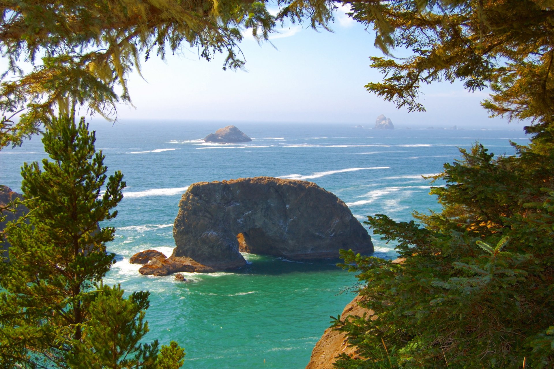 costa del pacífico olas costa rocas árboles oregon estados unidos