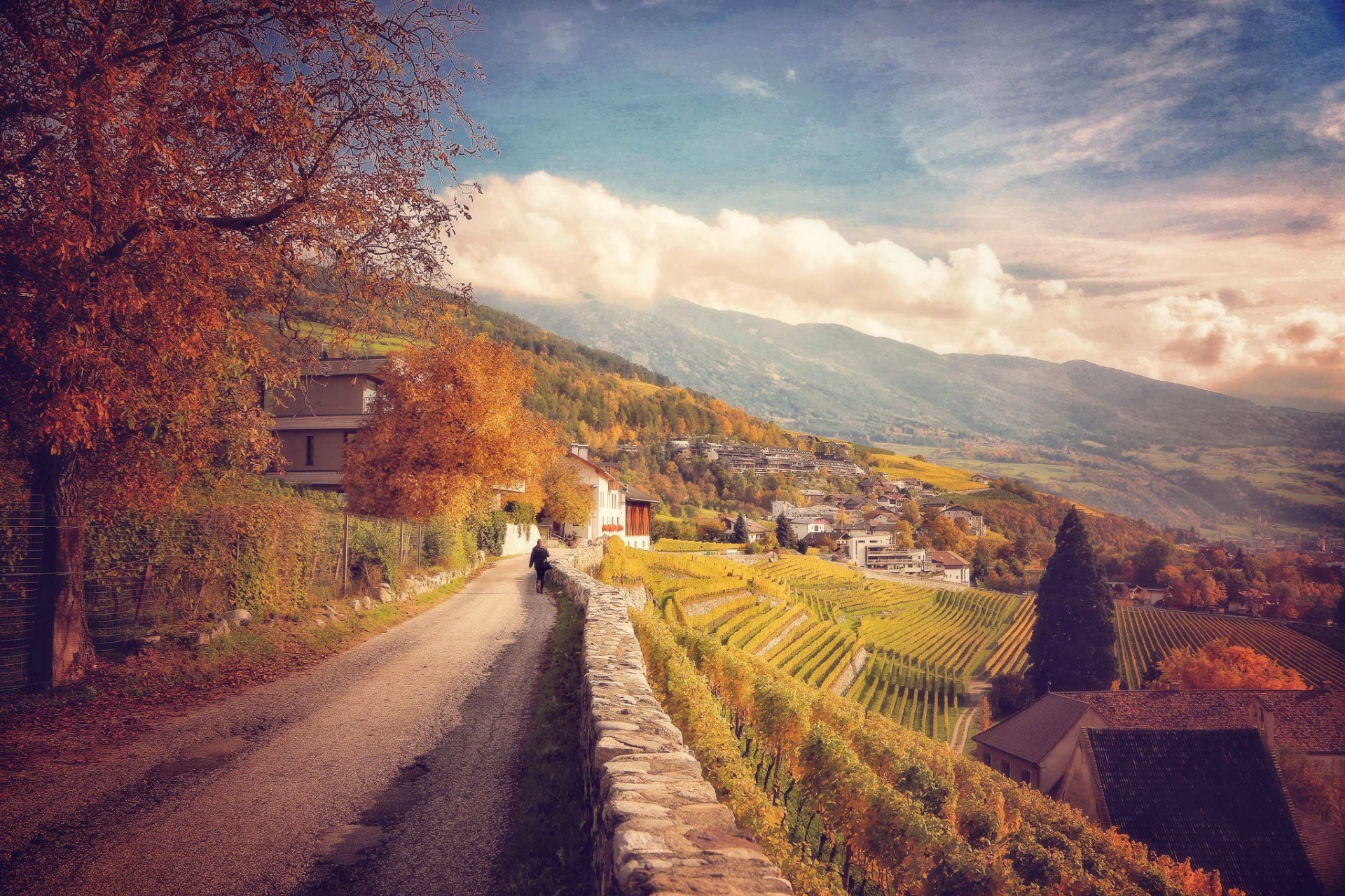 italy mountain road slope vineyards tree houses autumn foliage clouds landscape